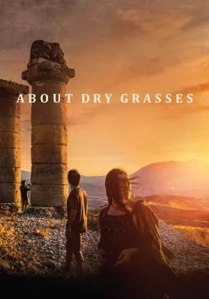 About Dry Grasses                                2023