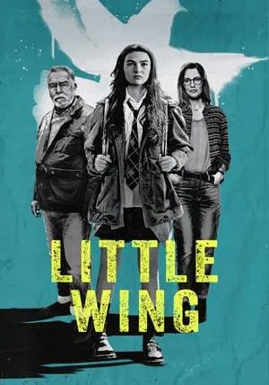 Little Wing                                2024