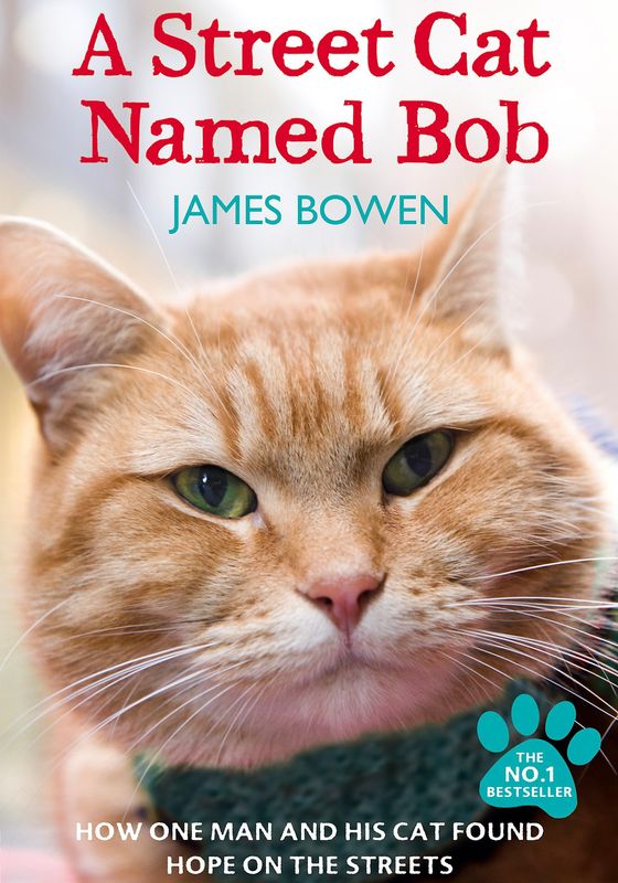 A Street Cat Named Bob                บ๊อบ แมว เพื่อน คน                2016